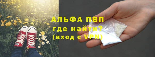 ECSTASY Нея