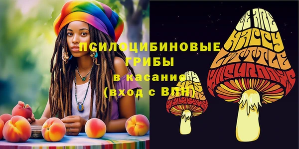 дурь Нефтекумск
