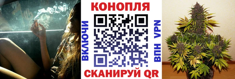 Бошки Шишки семена  Светлый 